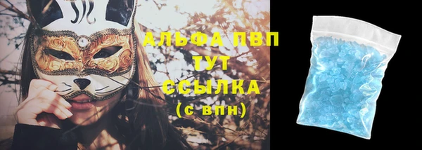 индика Абинск