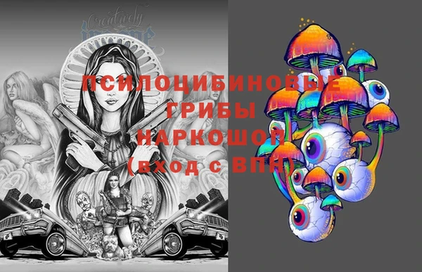 тгк Абаза