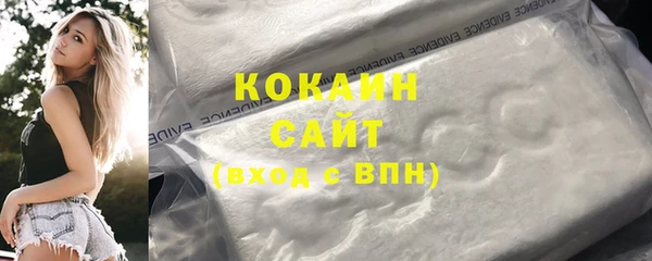 тгк Абаза