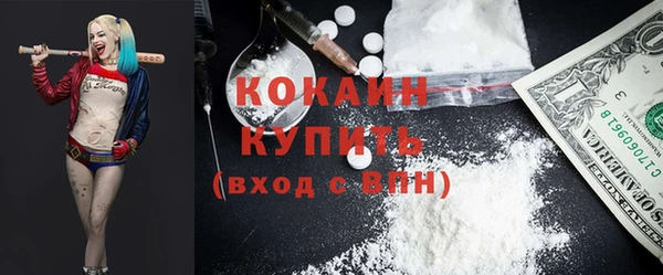 индика Абинск