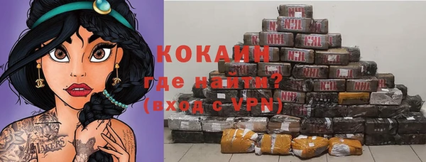 тгк Абаза