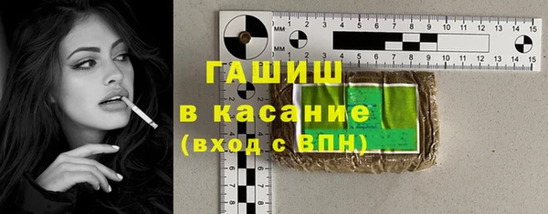 индика Абинск